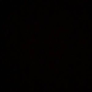 Meet your Posher, Future